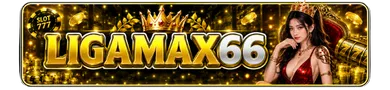 LIGAMAX66
